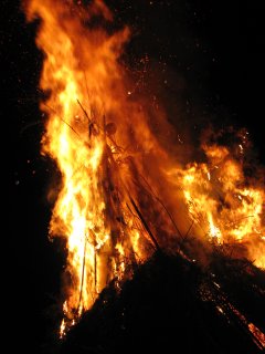 110113_5.jpg 110113_5.jpg