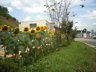 0808_2.jpg 0808_2.jpg