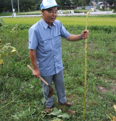 himawari104.jpg himawari104.jpg