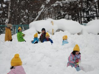 110129_4.jpg 110129_4.jpg