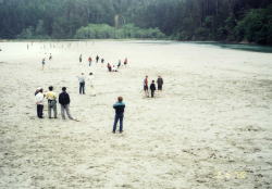 image3.jpg image3.jpg