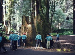 image8.jpg image8.jpg