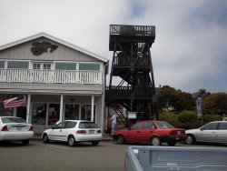 mizutunk.jpg mizutunk.jpg