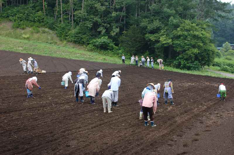 蕎麦の種まき(5)A.jpg 蕎麦の種まき(5)A.jpg