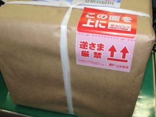 090123.jpg 090123.jpg