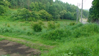 090623_1.jpg 090623_1.jpg