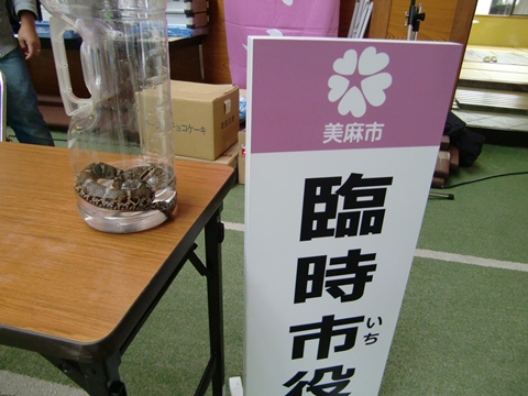 マムシWiki用.jpg マムシWiki用.jpg