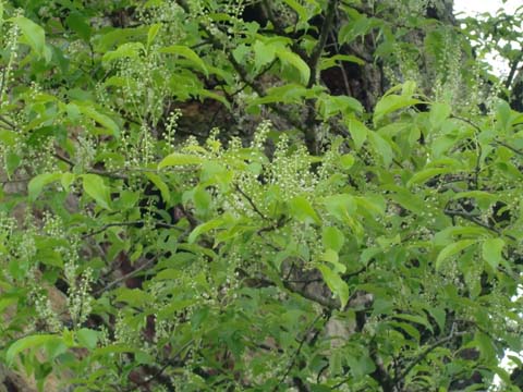 ÀŤκù¡¡H22.5.26¡¡¹â»Þ.jpg ÀŤκù¡¡H22.5.26¡¡¹â»Þ.jpg