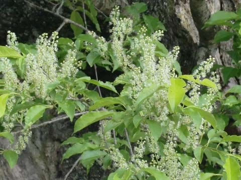 ÀŤκù¡¡H22.6.1¡¡²¼»Þ.jpg ÀŤκù¡¡H22.6.1¡¡²¼»Þ.jpg