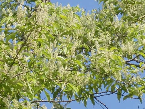 ÀŤκù¡¡H22.6.1¡¡¹â»Þ.jpg ÀŤκù¡¡H22.6.1¡¡¹â»Þ.jpg