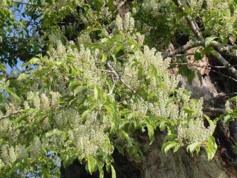 ÀŤκù¡¡H22.6.3¡¡²¼»Þ.jpg ÀŤκù¡¡H22.6.3¡¡²¼»Þ.jpg