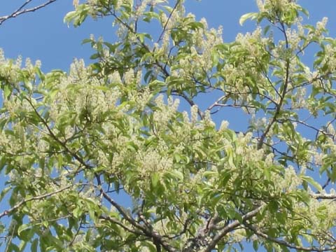 ÀŤκù¡¡H22.6.3¡¡¹â»Þ.jpg ÀŤκù¡¡H22.6.3¡¡¹â»Þ.jpg