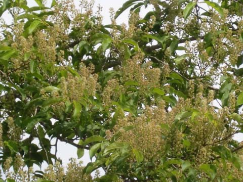 ÀŤκù¡¡H22.6.7¡¡¹â»Þ.jpg ÀŤκù¡¡H22.6.7¡¡¹â»Þ.jpg