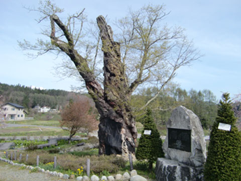 ÀŤκù0509 No.1.jpg ÀŤκù0509 No.1.jpg