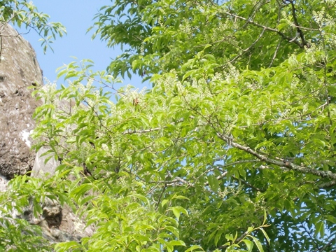 ÀŤκù0529 No.2.jpg ÀŤκù0529 No.2.jpg