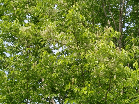 ÀŤκù0531 ¡Ê¼ãÌÚ¡Ë.jpg ÀŤκù0531 ¡Ê¼ãÌÚ¡Ë.jpg