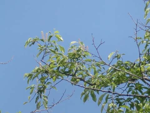 ÀŤκù0606 No.2.jpg ÀŤκù0606 No.2.jpg