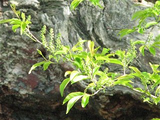 100518.jpg 100518.jpg