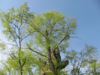 100518_2.jpg 100518_2.jpg