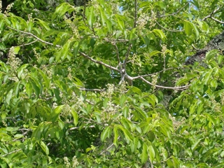 150524ÀŤκùWikiÍÑ No.2.jpg 150524ÀŤκùWikiÍÑ No.2.jpg