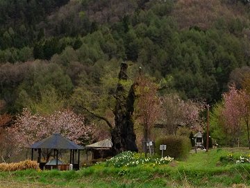 20120503.jpg 20120503.jpg