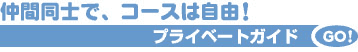 �v���C�x�[�g�K�C�h